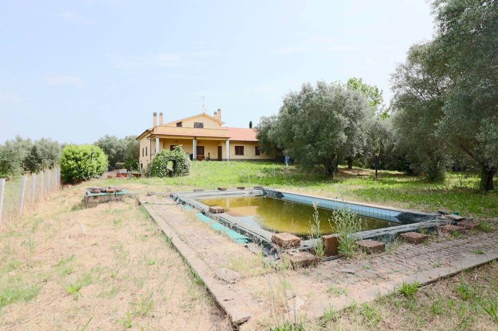 immagine annuncio 6 di 13