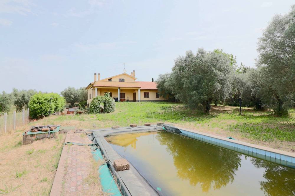 immagine annuncio 7 di 13