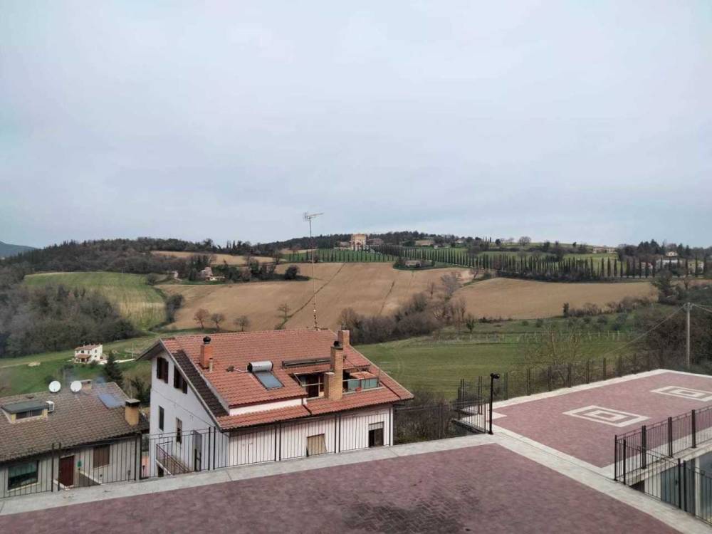 immagine annuncio 1 di 8