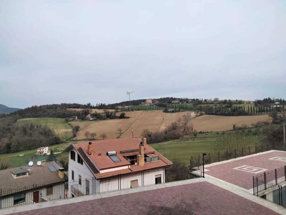 immagine annuncio 3 di 8