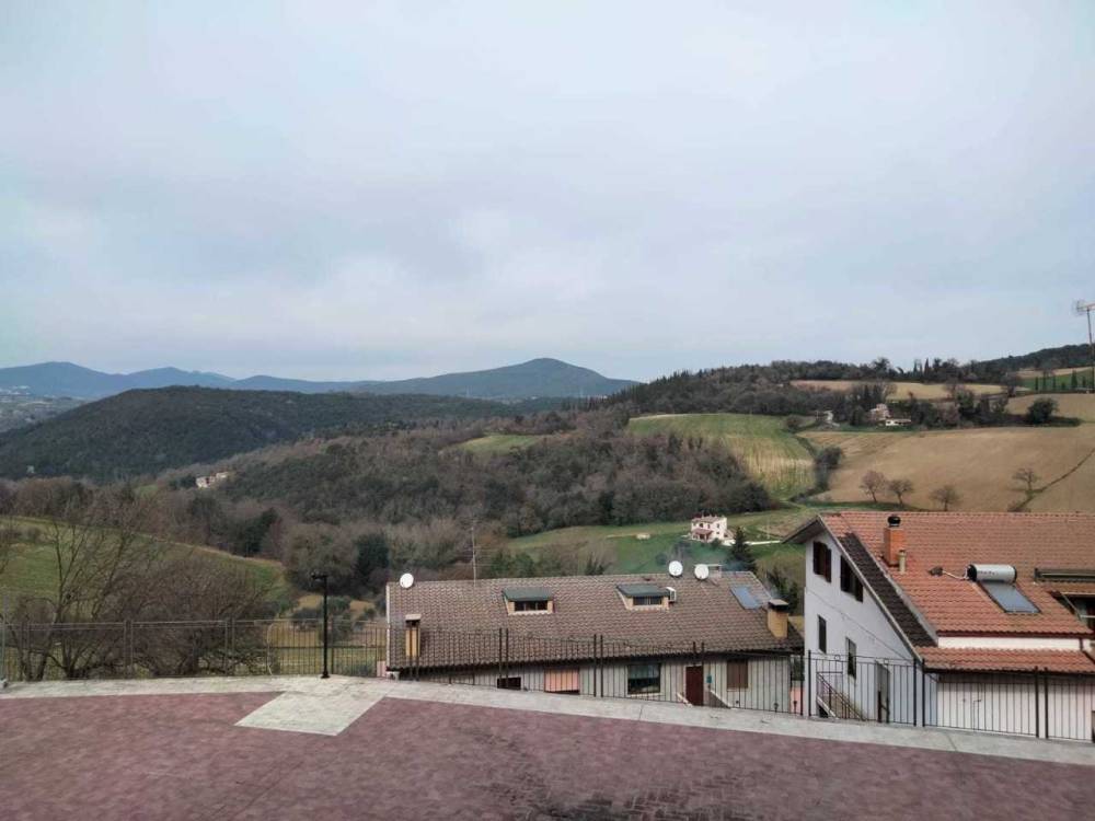 immagine annuncio 5 di 8
