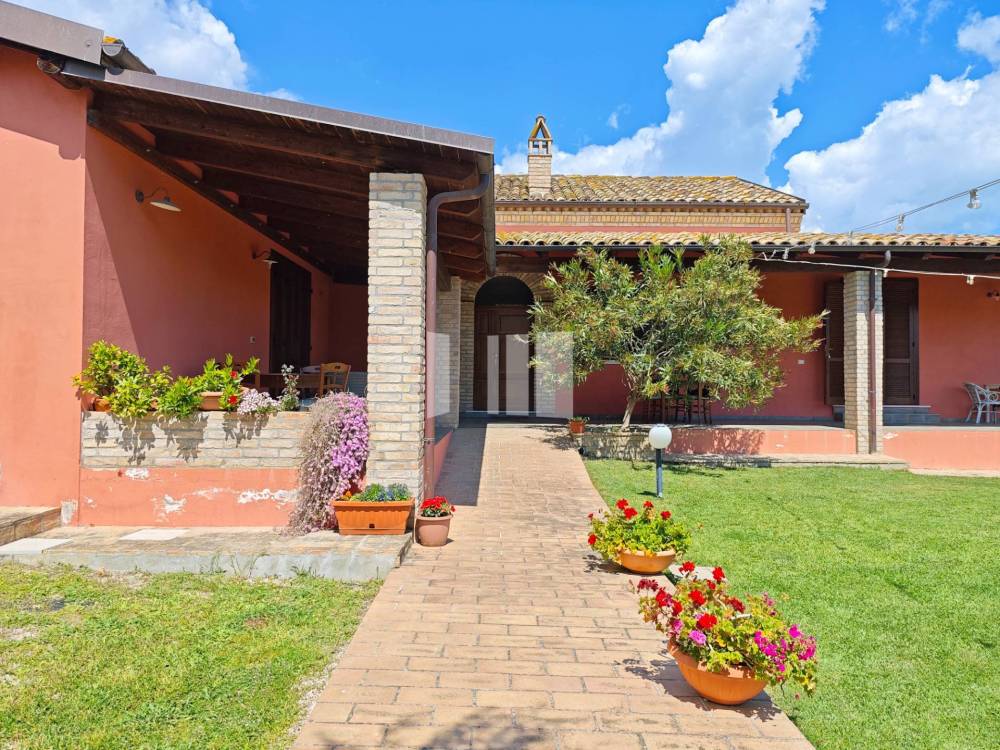 immagine annuncio 12 di 13