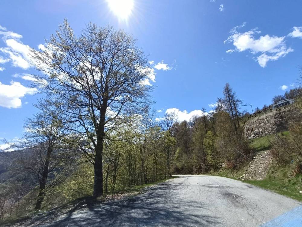 immagine annuncio 9 di 12
