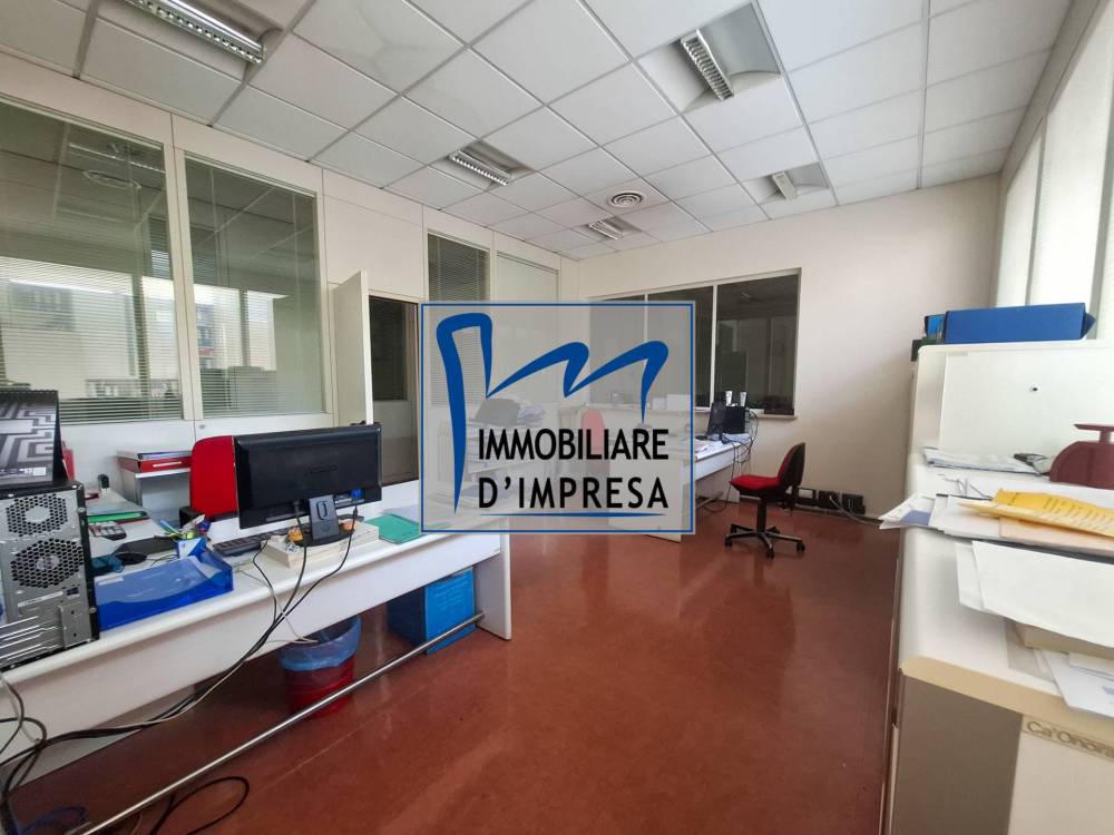 immagine annuncio 5 di 13