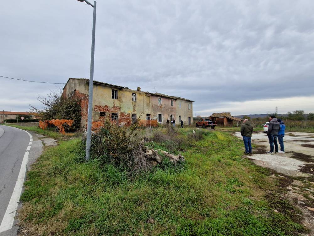 immagine annuncio 2 di 4