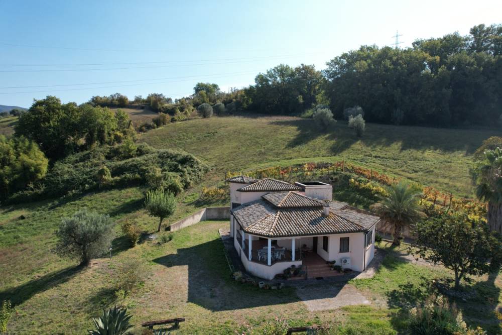 immagine annuncio 12 di 14