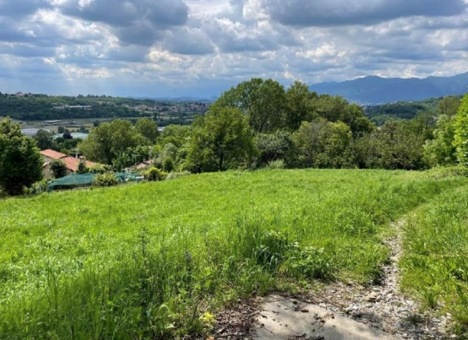 immagine annuncio 7 di 13