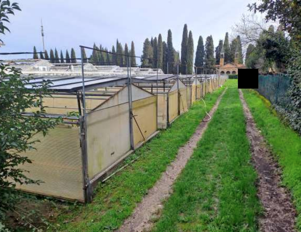 immagine annuncio 3 di 13