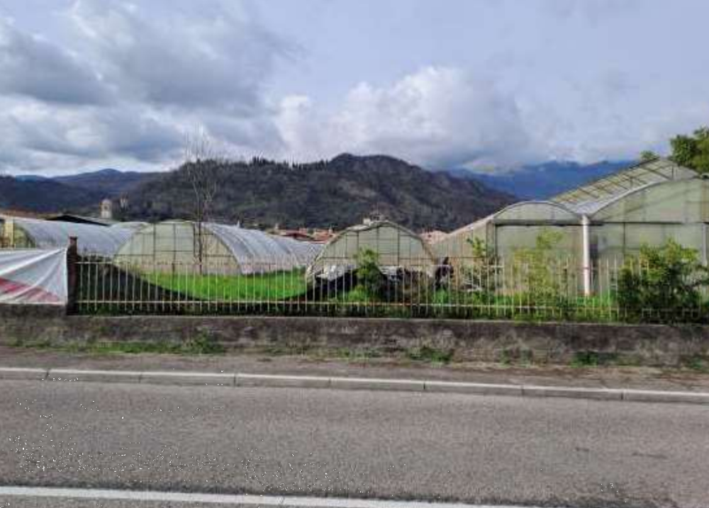 immagine annuncio 5 di 13
