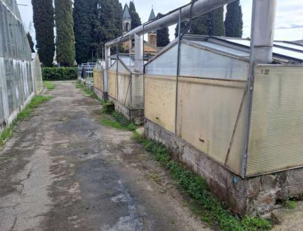 immagine annuncio 10 di 13