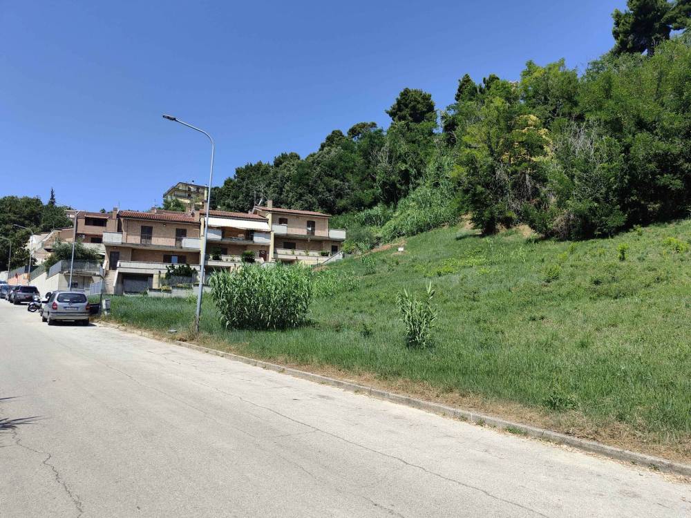 immagine annuncio 12 di 13