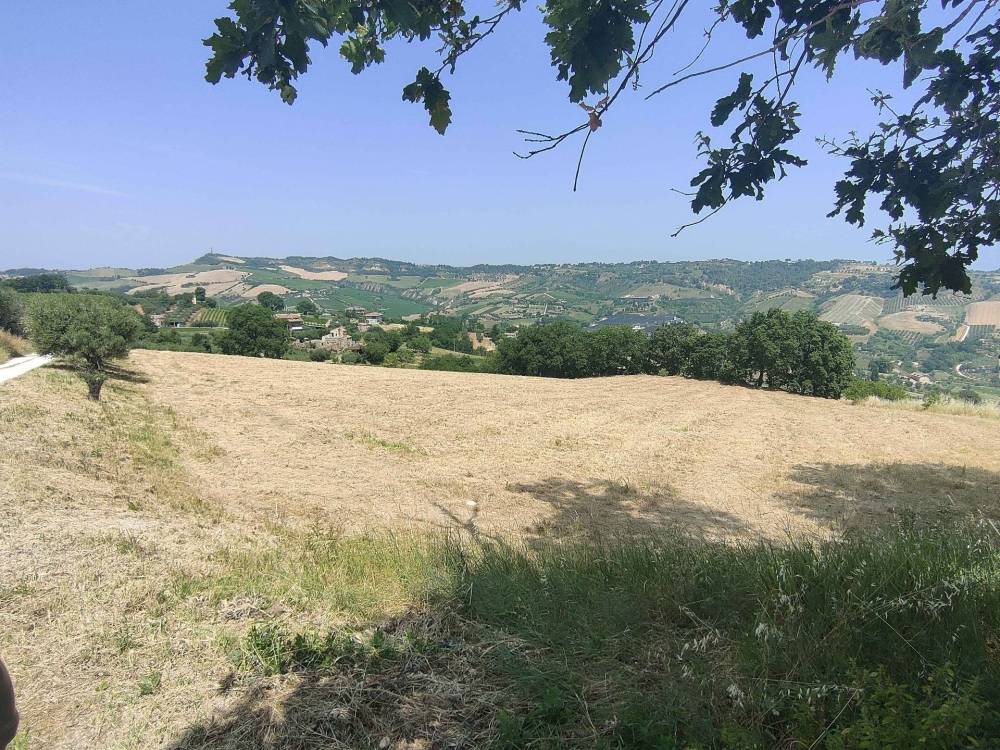 immagine annuncio 4 di 13