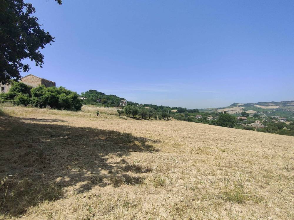 immagine annuncio 6 di 13