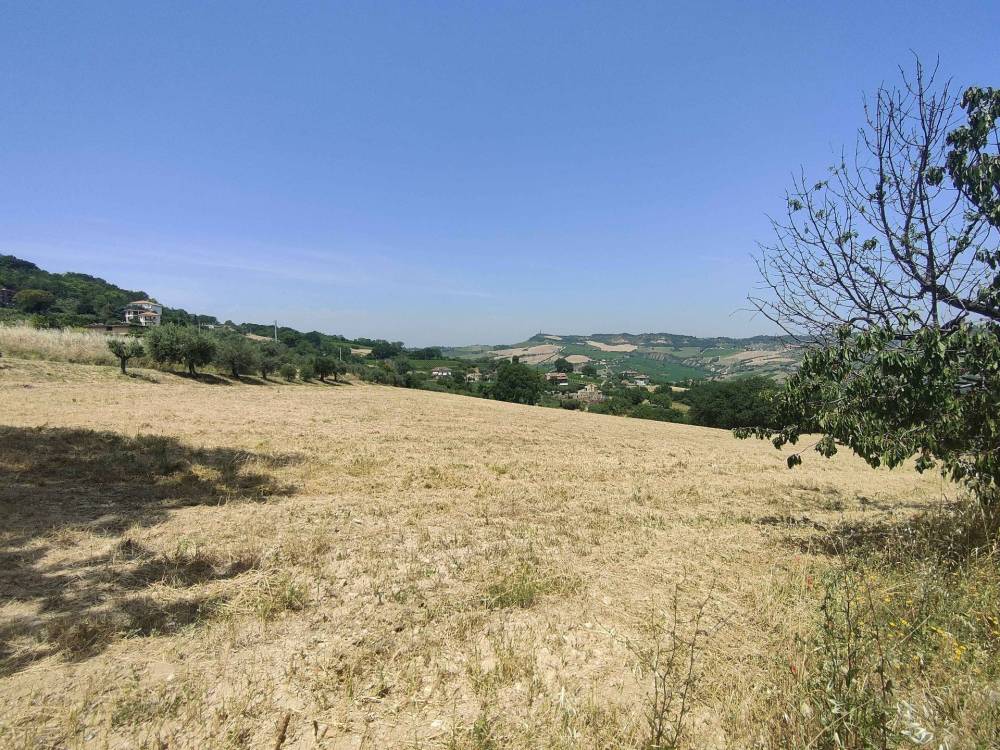 immagine annuncio 8 di 13