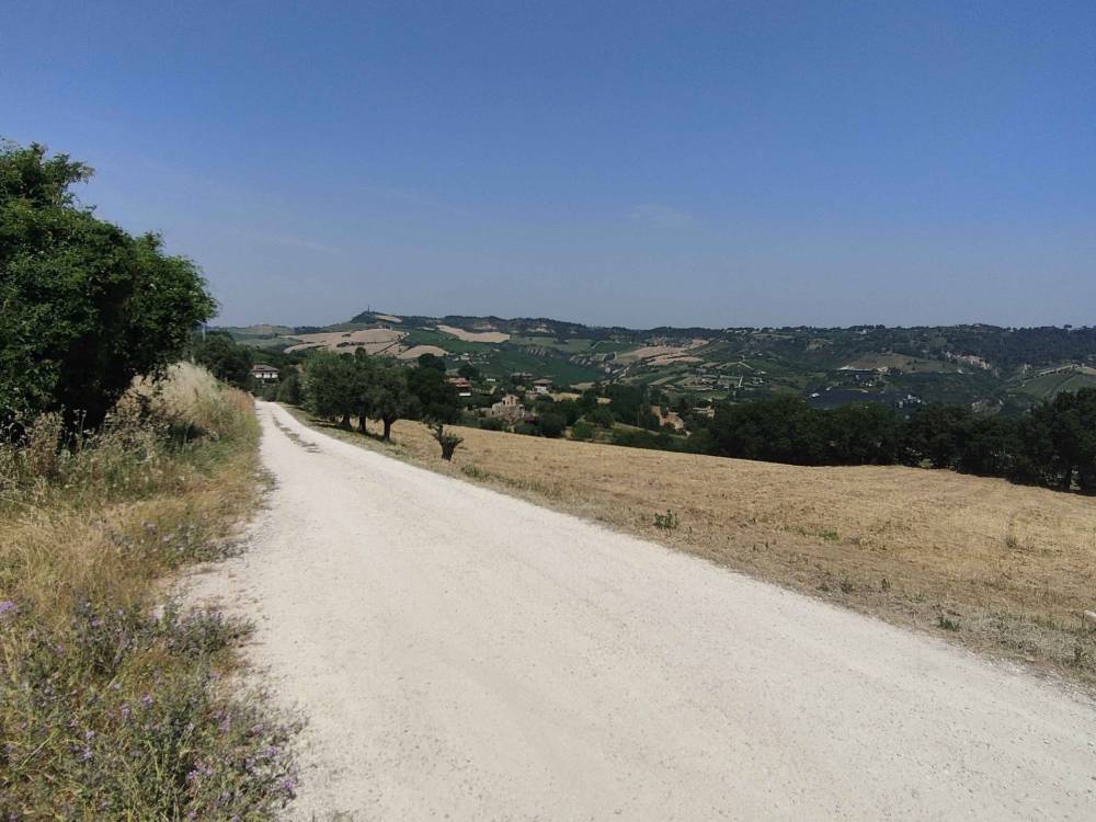 immagine annuncio 5 di 13