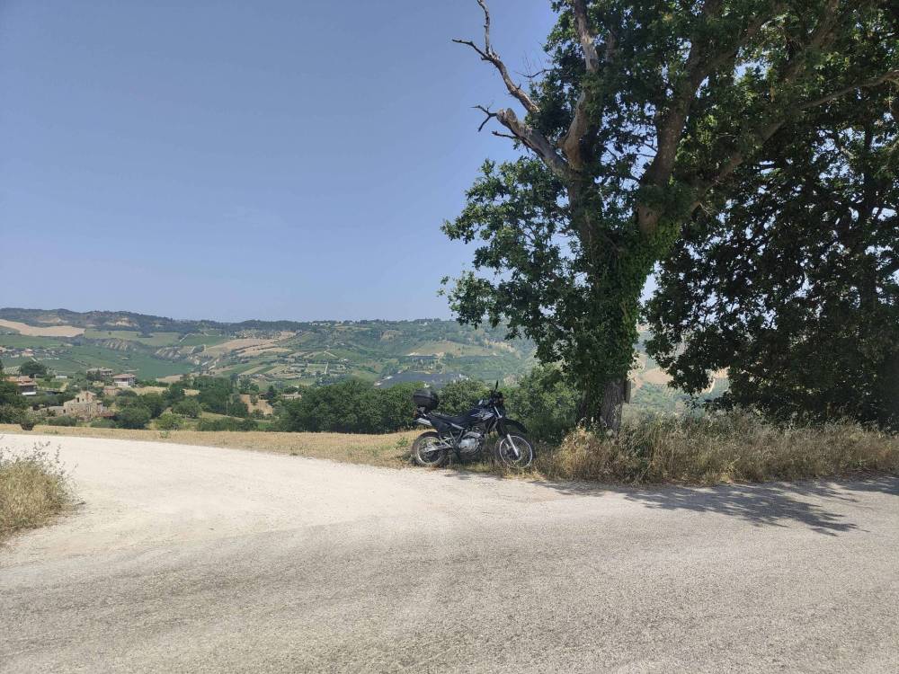 immagine annuncio 7 di 13