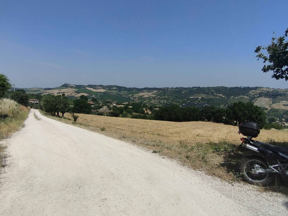 immagine annuncio 9 di 13