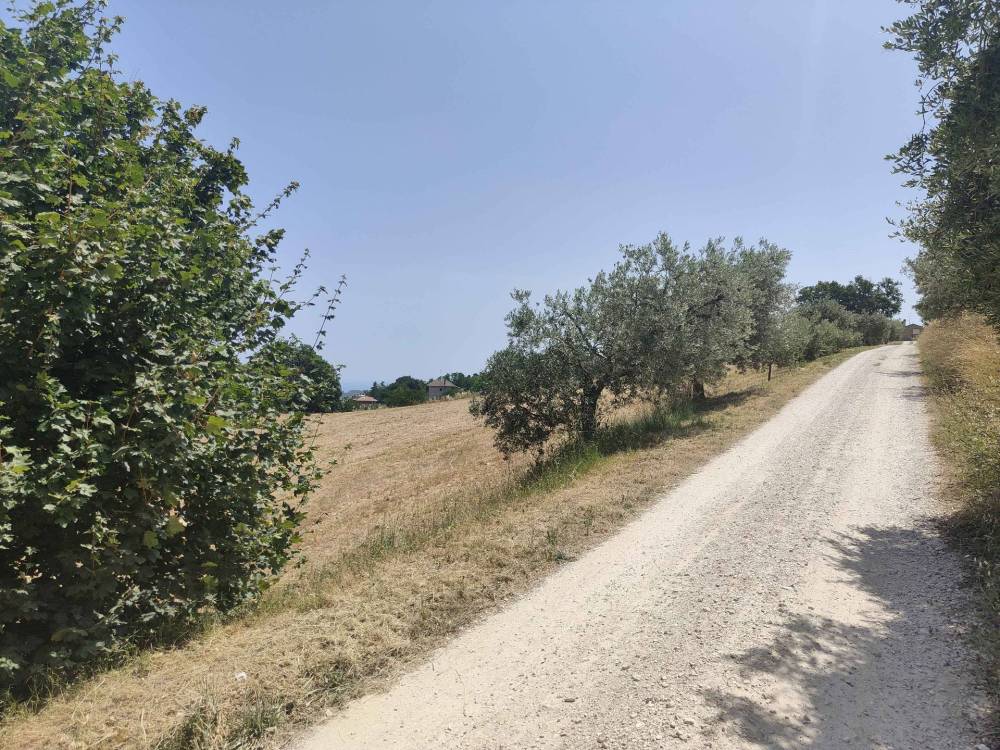 immagine annuncio 2 di 13