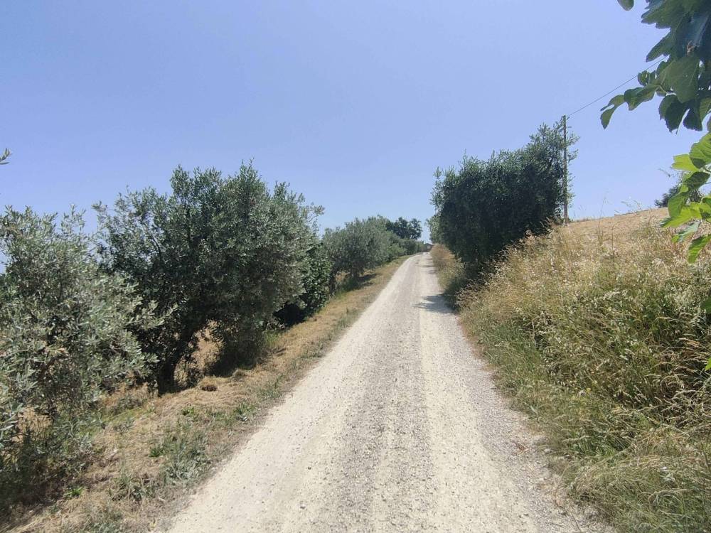 immagine annuncio 12 di 13