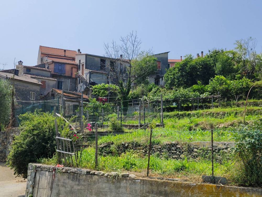 immagine annuncio 1 di 6