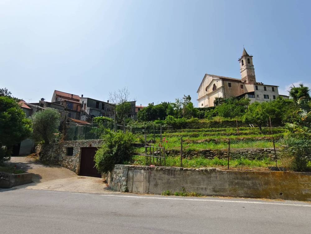 immagine annuncio 2 di 6