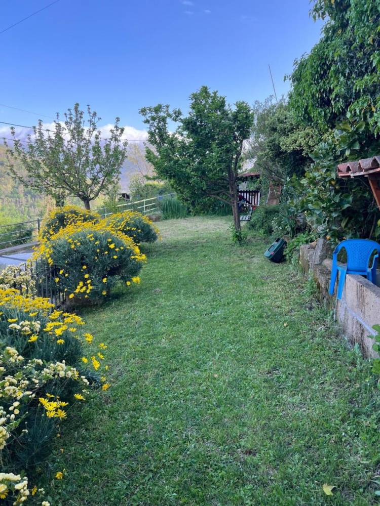 immagine annuncio 11 di 13