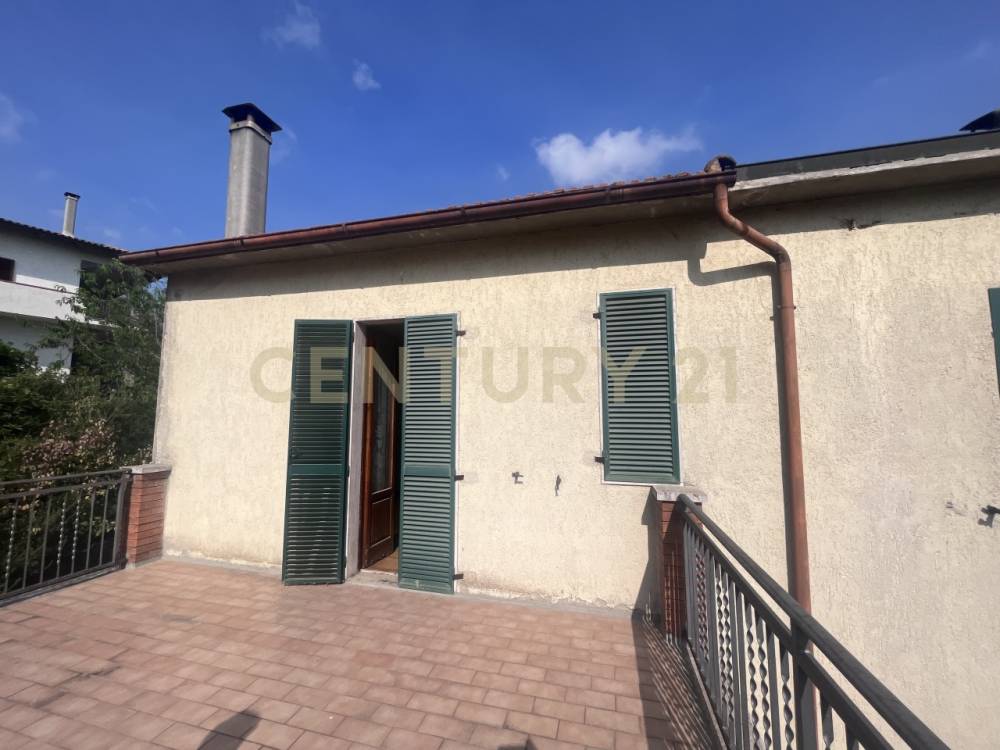 immagine annuncio 11 di 14