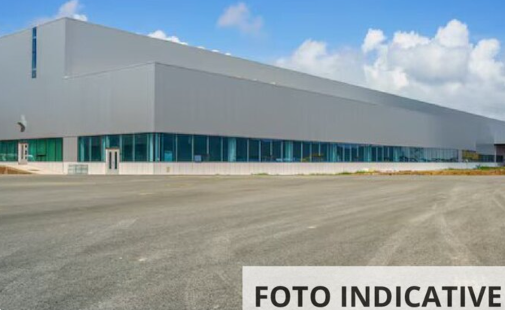 immagine annuncio 8 di 11