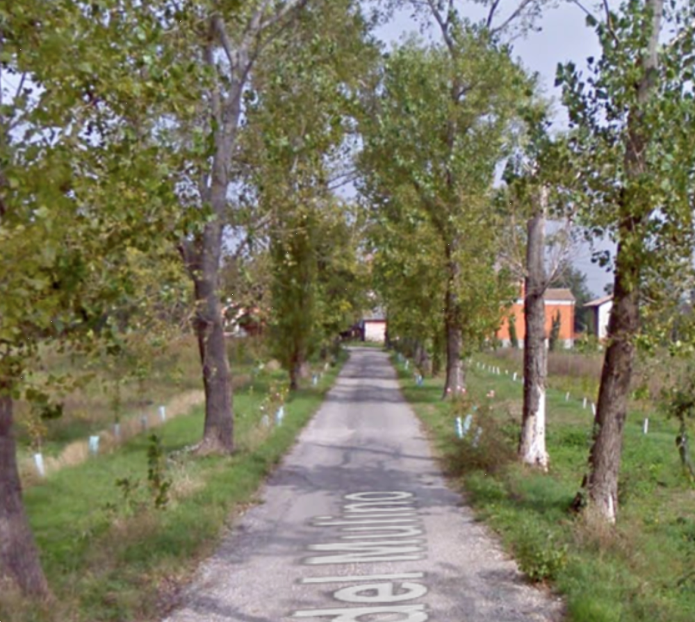 immagine annuncio 8 di 13