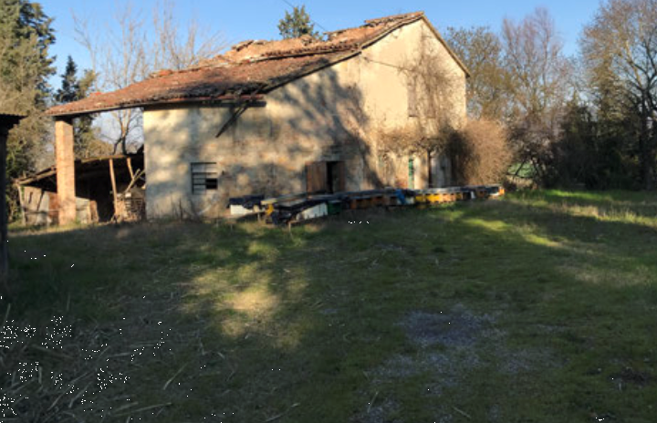 immagine annuncio 11 di 13