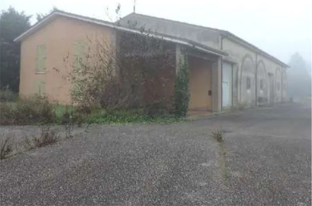 immagine annuncio 7 di 13