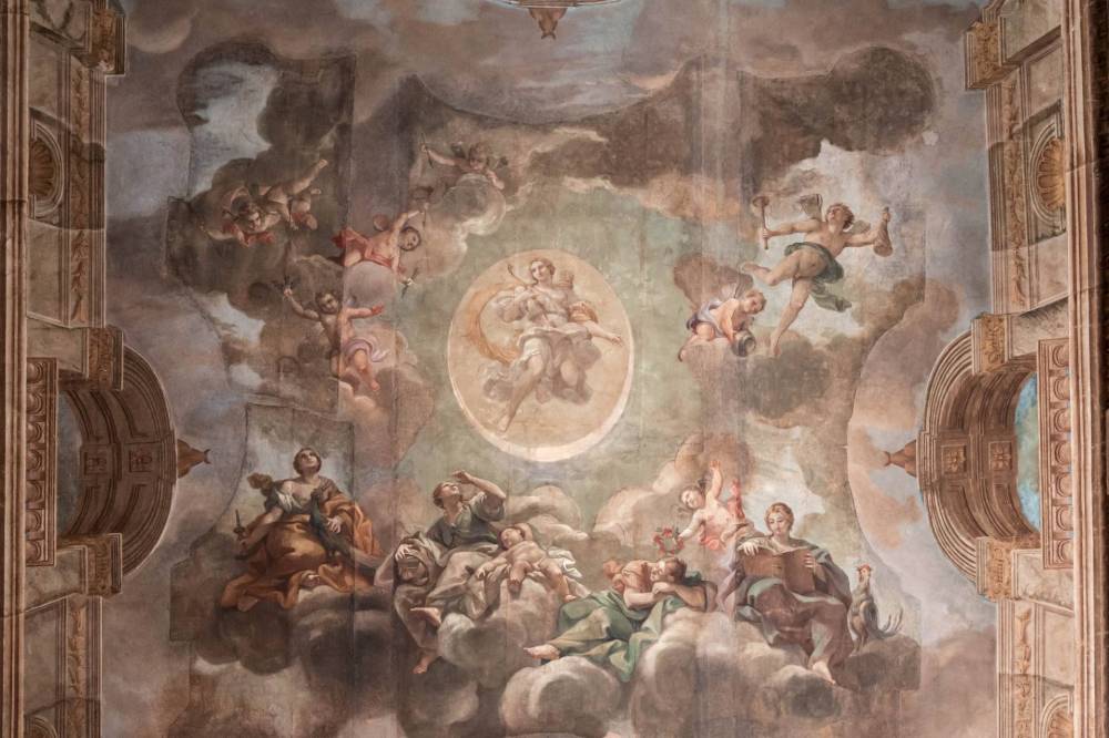 immagine annuncio 2 di 13