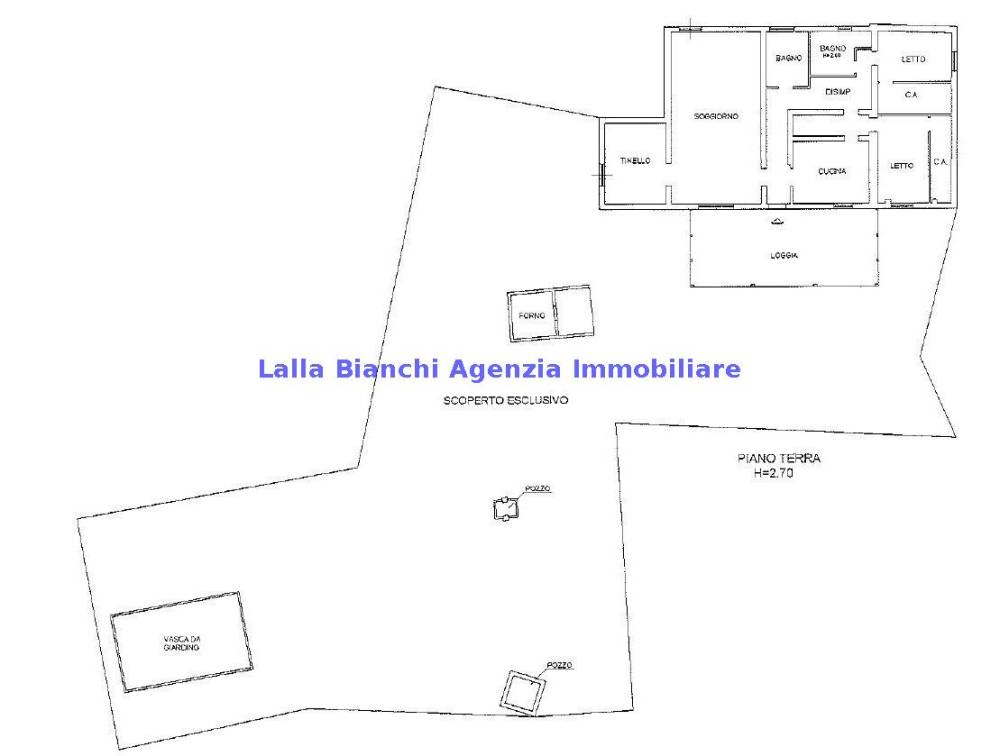 immagine annuncio 5 di 13
