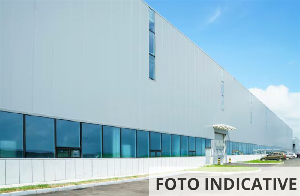 immagine annuncio 10 di 13