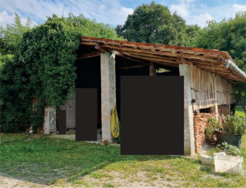 immagine annuncio 5 di 13