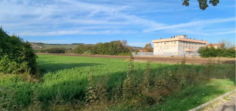 immagine annuncio 3 di 13