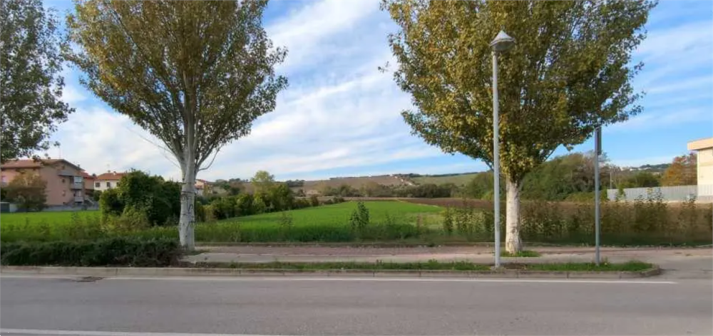 immagine annuncio 5 di 13