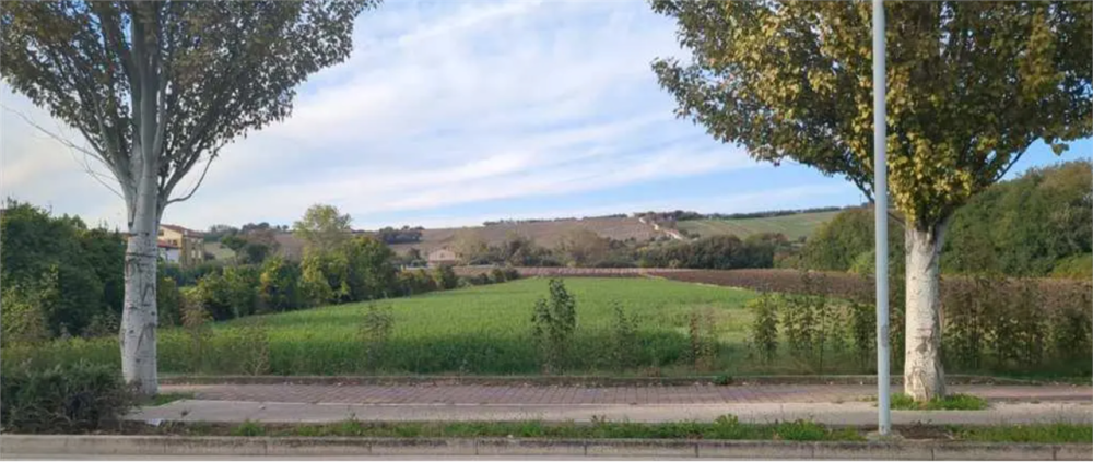 immagine annuncio 6 di 13