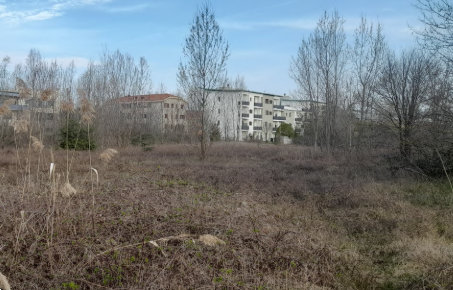 immagine annuncio 9 di 13