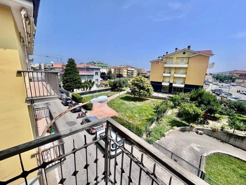 immagine annuncio 2 di 12