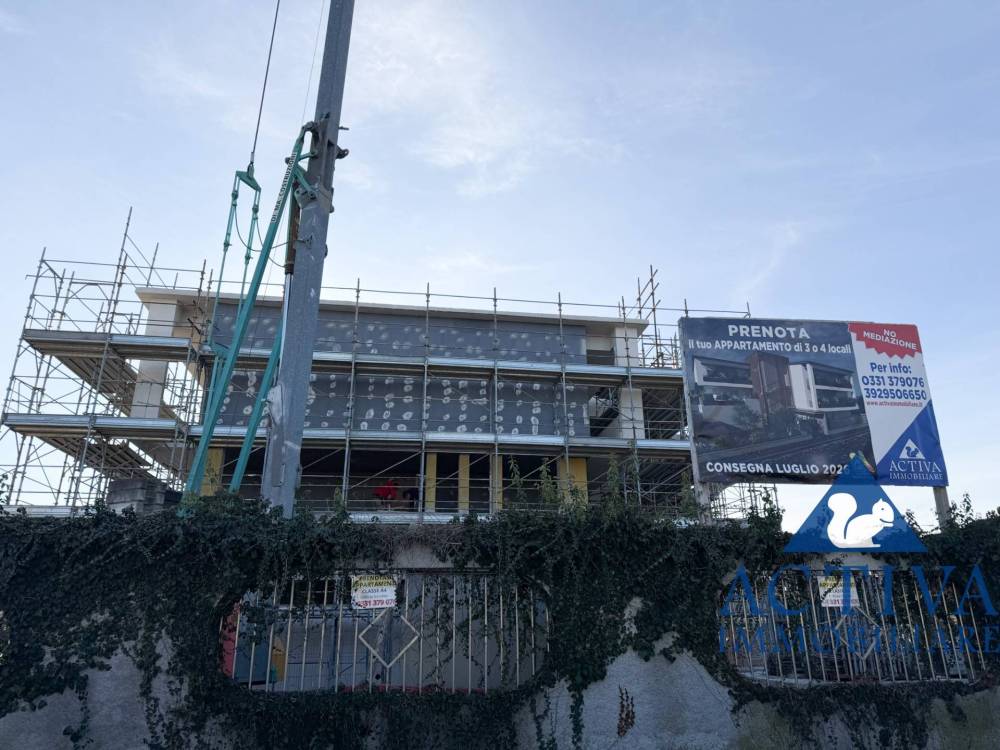 immagine annuncio 11 di 14