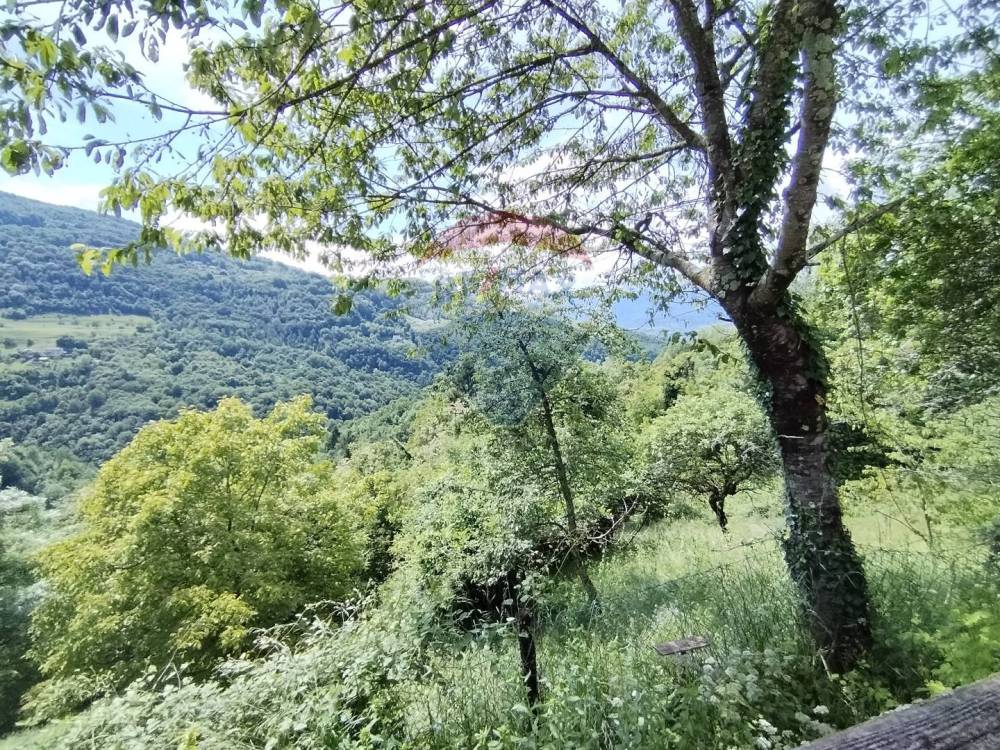 immagine annuncio 7 di 13