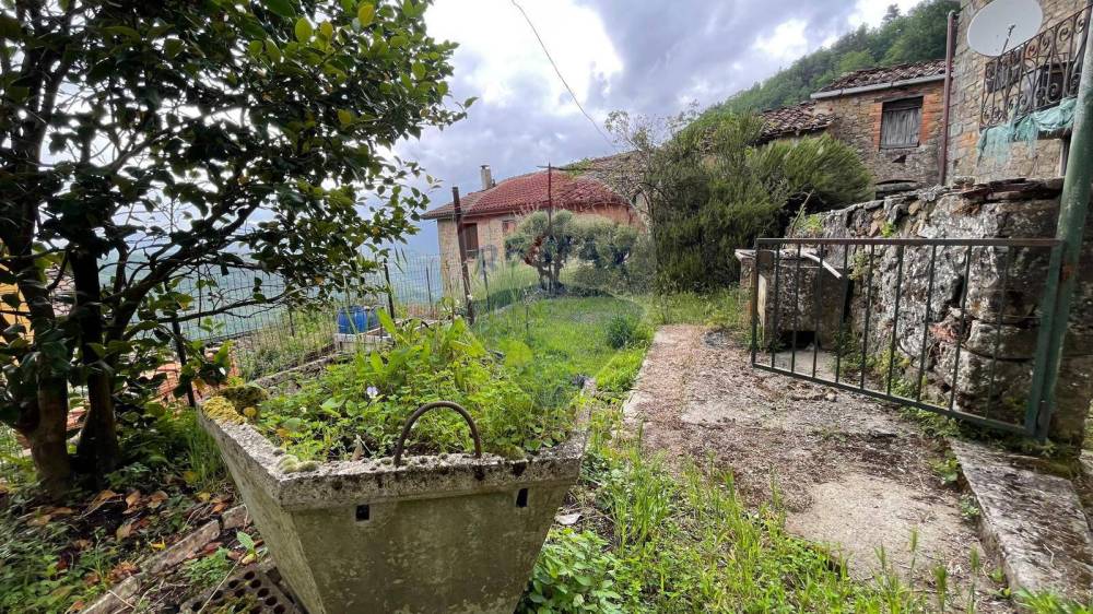 immagine annuncio 5 di 13