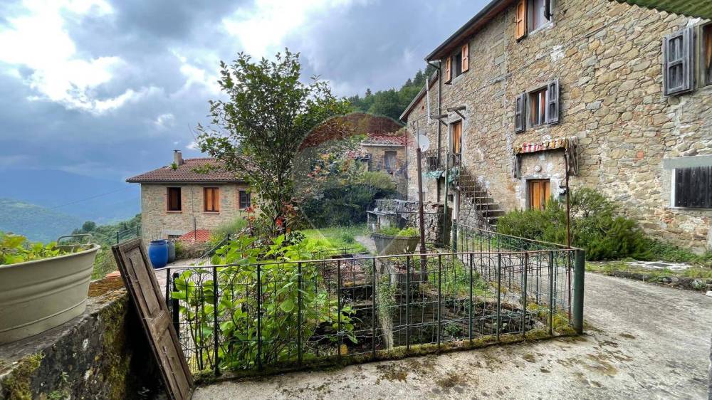 immagine annuncio 10 di 13