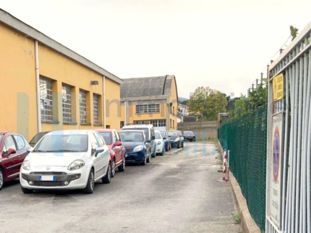 immagine annuncio 1 di 9
