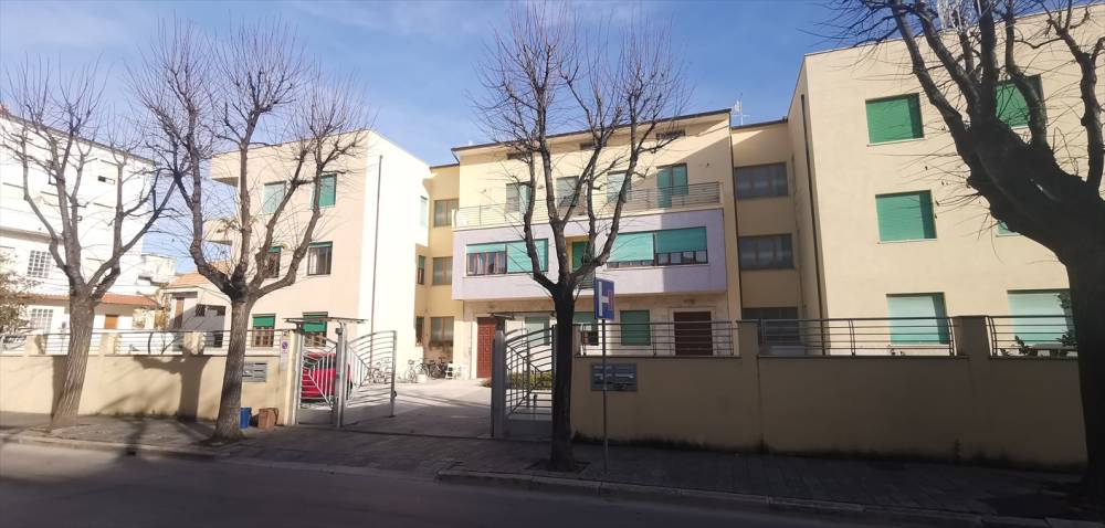 immagine annuncio 2 di 13