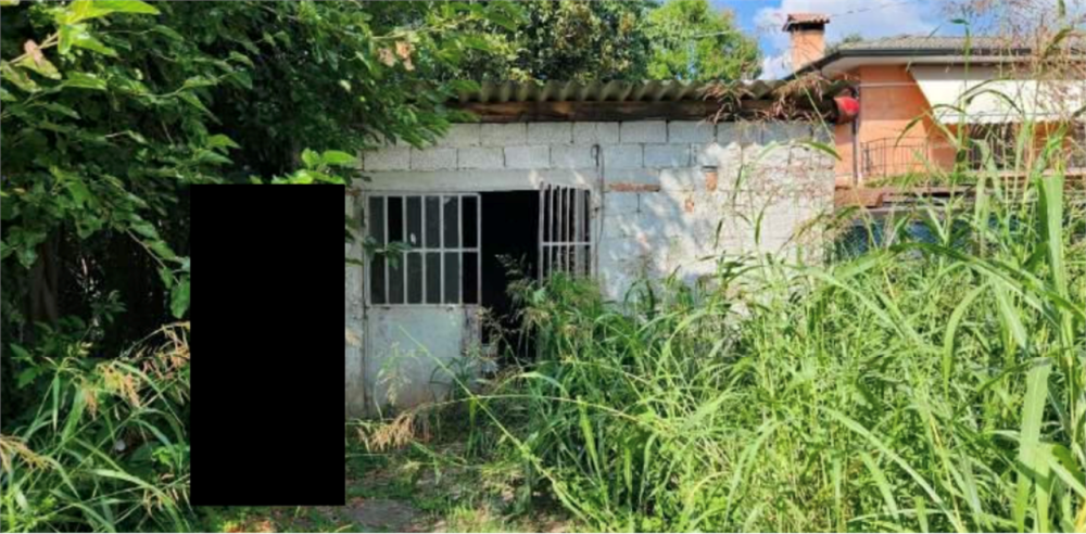 immagine annuncio 2 di 13