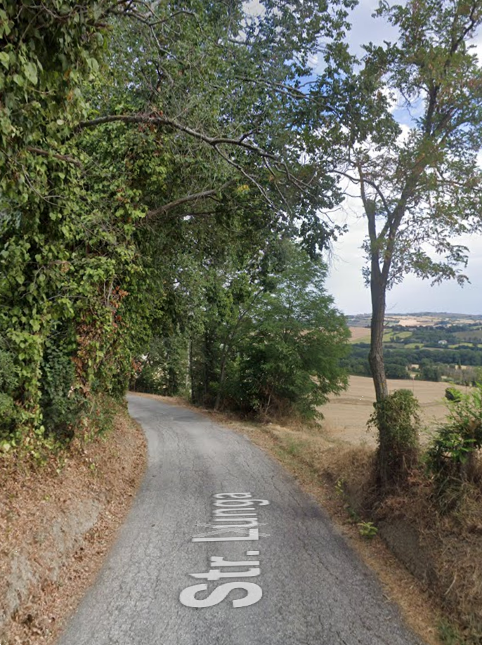 immagine annuncio 9 di 13