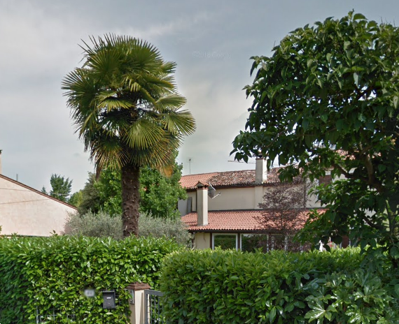 immagine annuncio 3 di 13