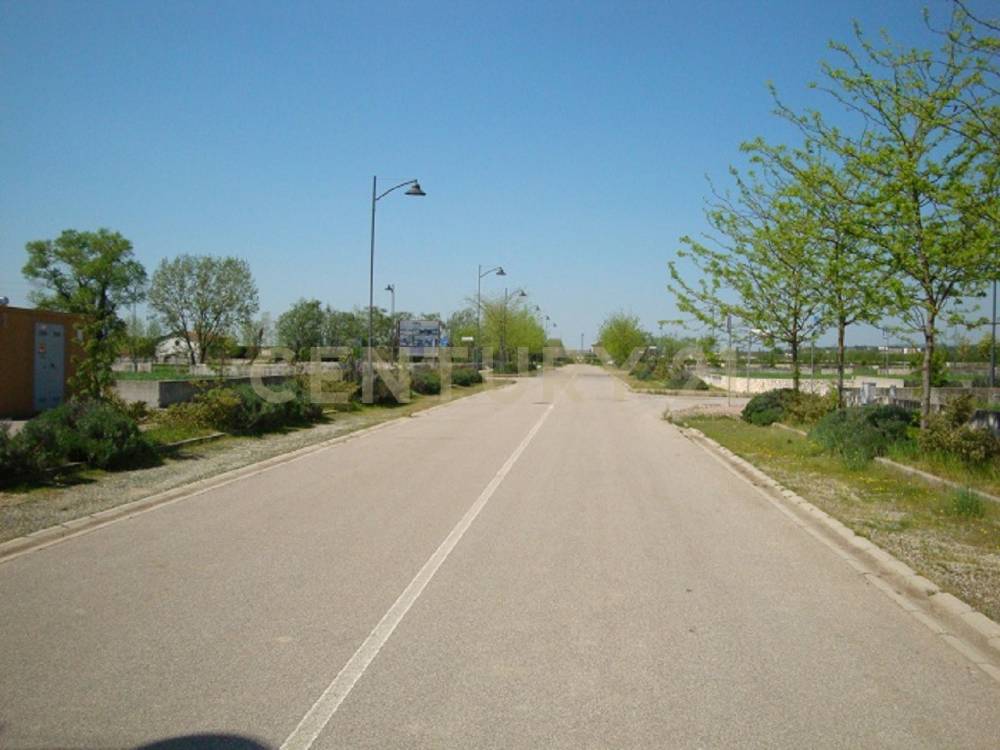 immagine annuncio 7 di 11
